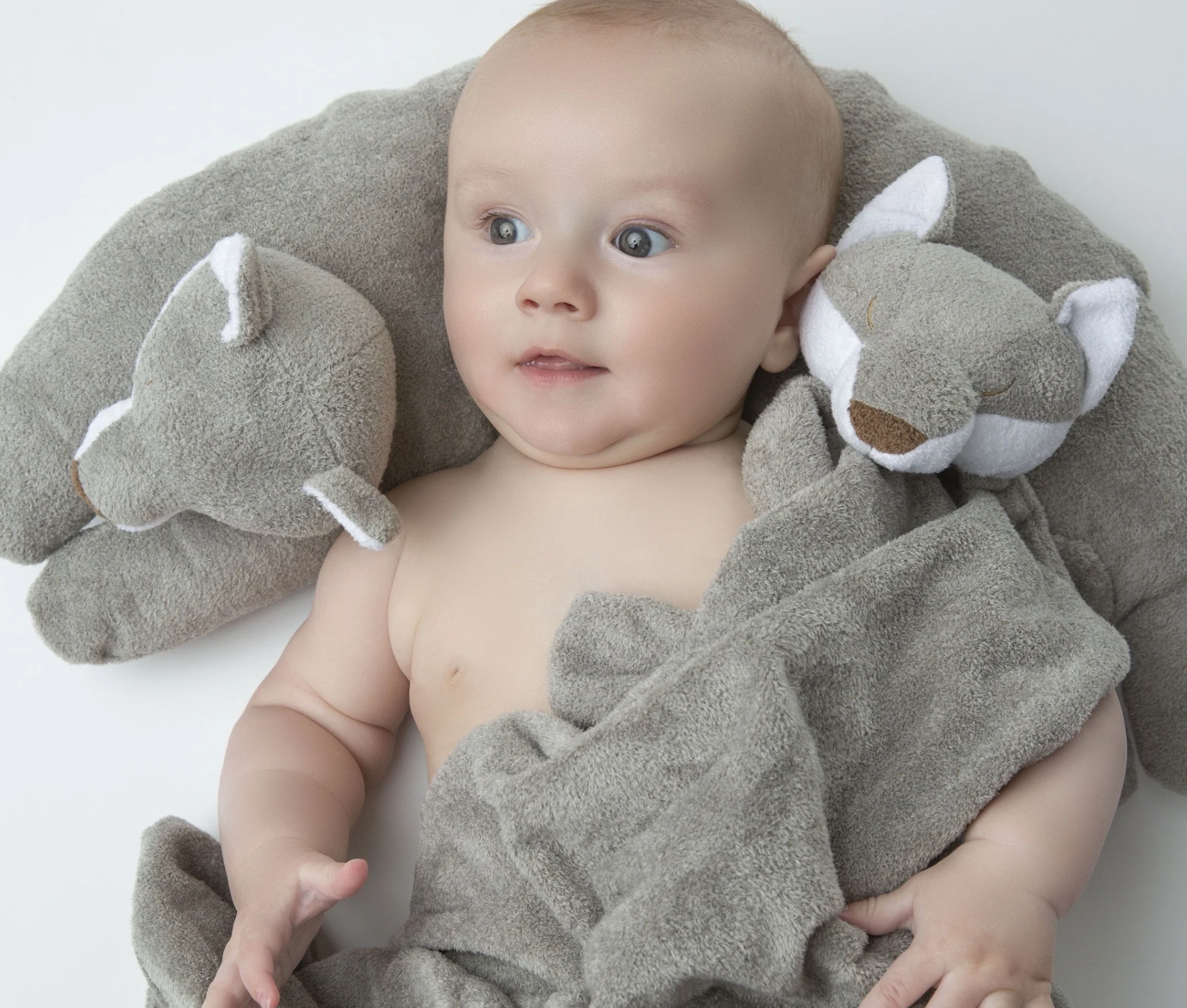 Blue Elephant Pillow