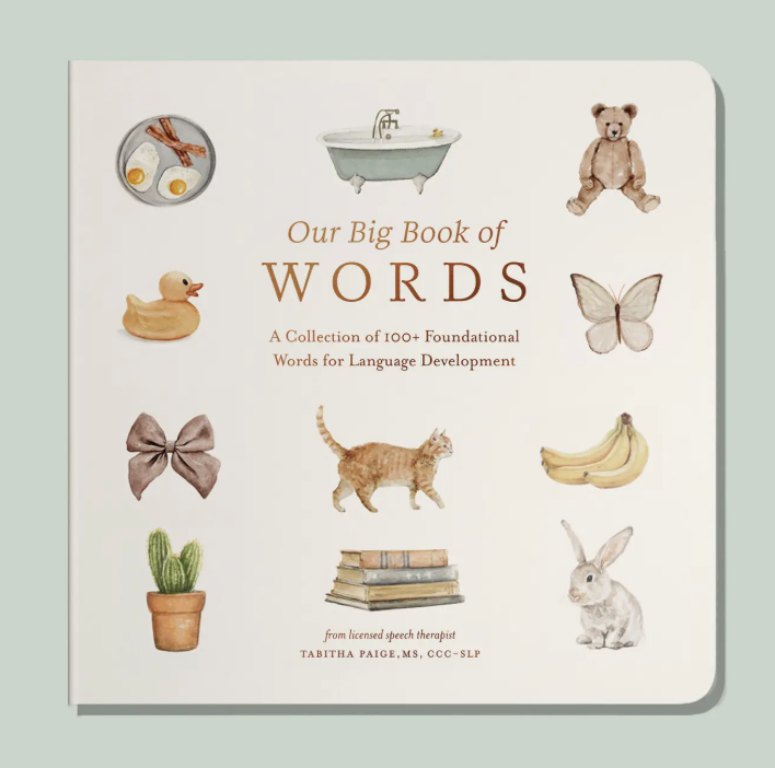Our Big Book of First Words