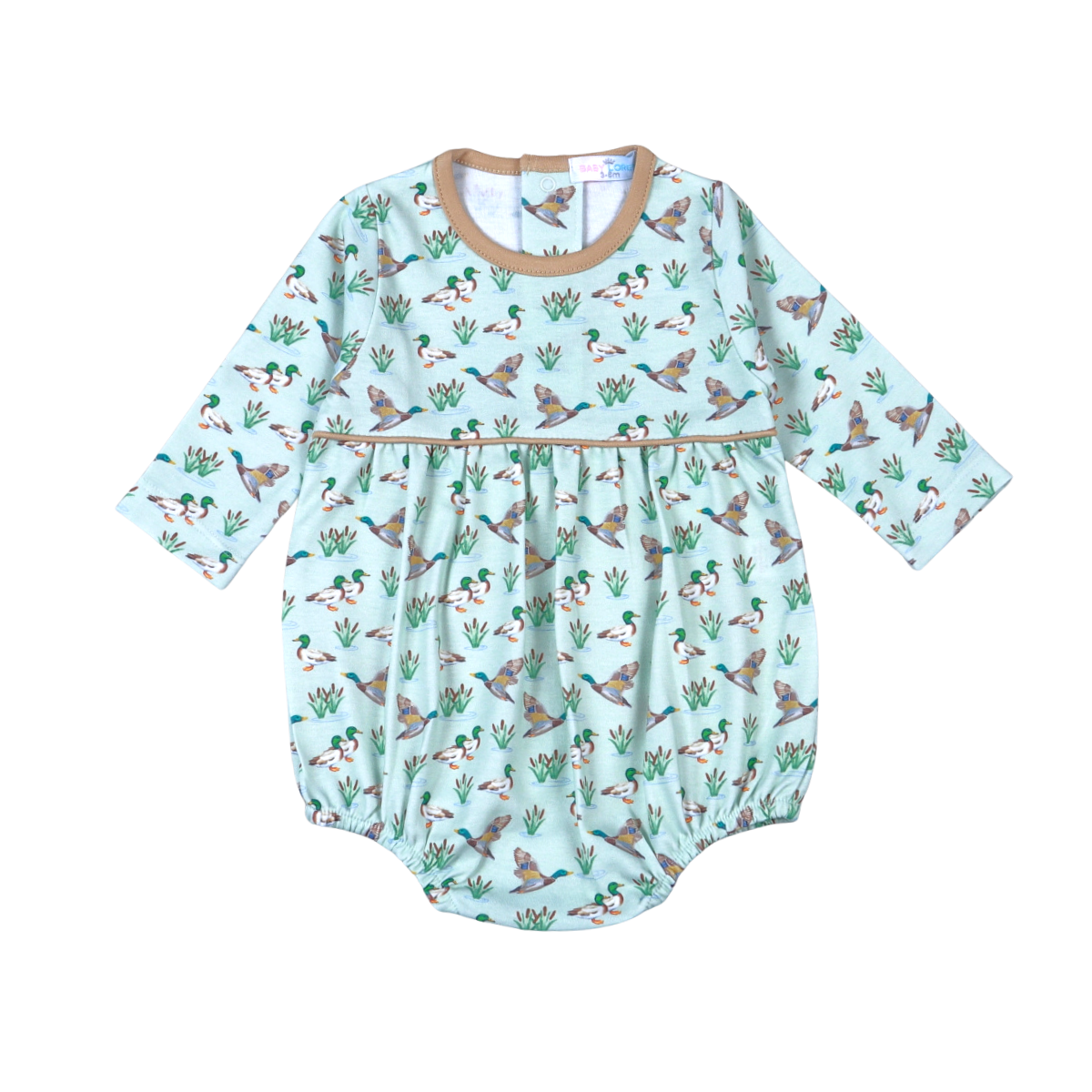 Mallard Ducks Pima Bubble