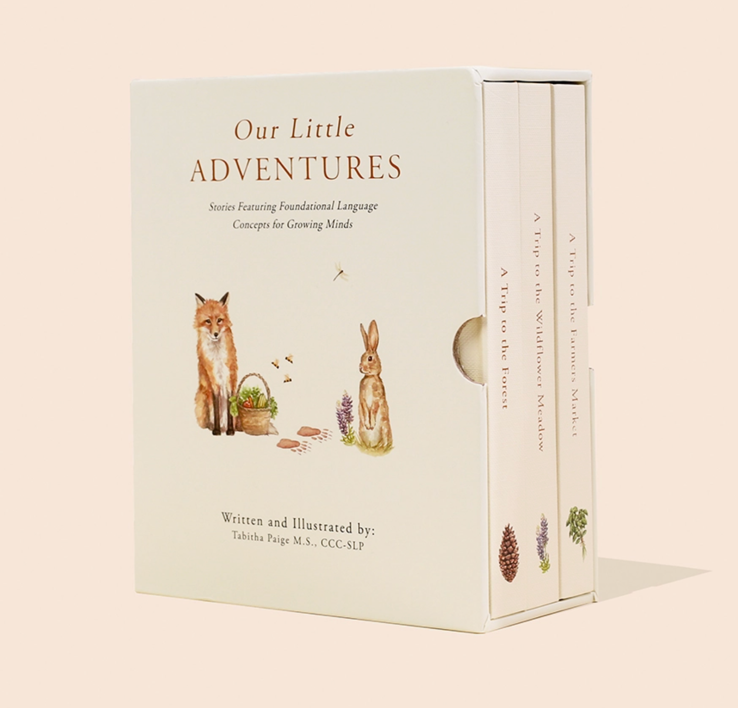 Our Little Adventure Box Set