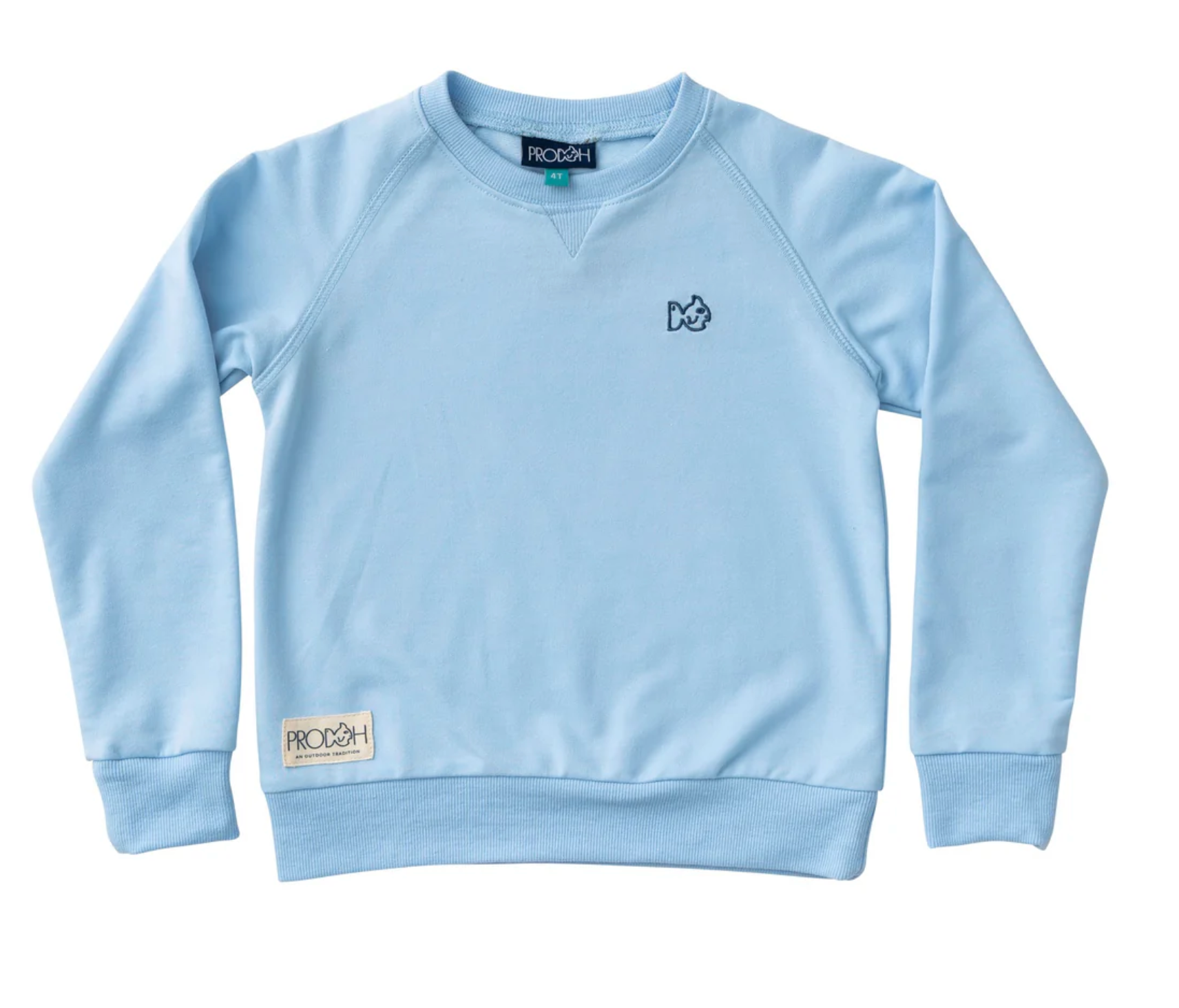 Control Crewneck-Teal & Light Blue