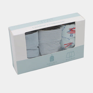 Boys Bamboo Underwear Pack