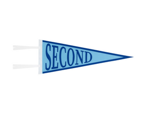 Picture Perfect Pennants