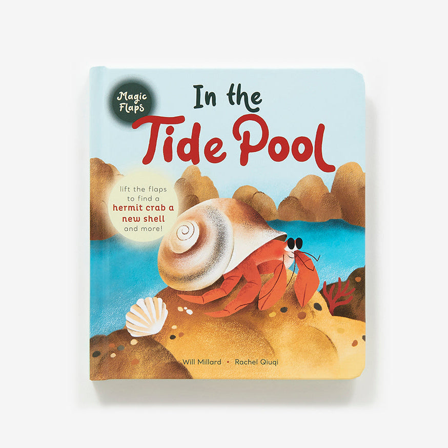 In the Tide Pool: A Magic Flaps Books
