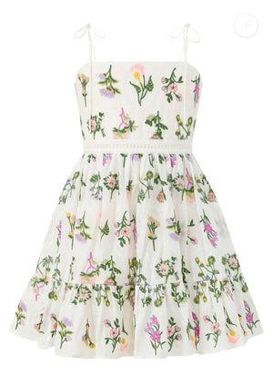 Emely Embroidered Mini Dress