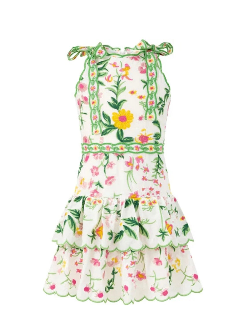 Kaylee Cotton Embroidered Mini Dress