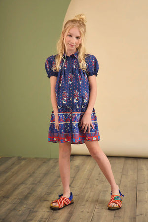 Drifter Fall Floral Navy Mini Dress