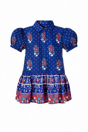 Drifter Fall Floral Navy Mini Dress