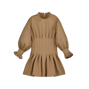 Brown Mock Neck Pleated Dress