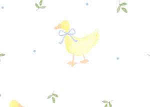 *PRE-ORDER* Blue Two Piece Duck Jammies (Baby)