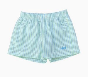 Naples Coastal Stripe Seersucker Short (Kid/Big Kid)