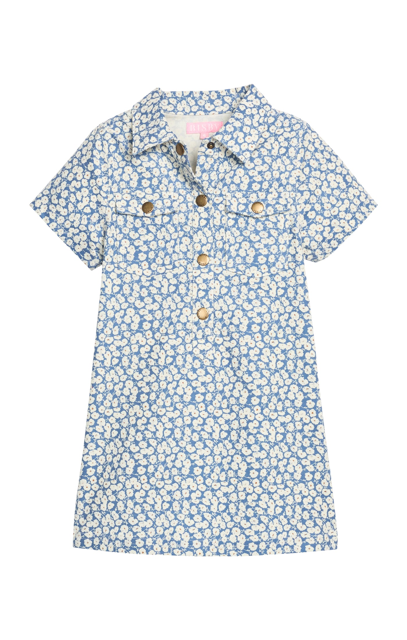 French Blue Corduroy Safari Popover Dress