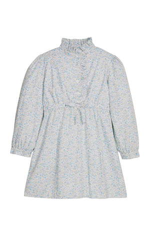 Waterbury Floral Ruffled Shirt Dress