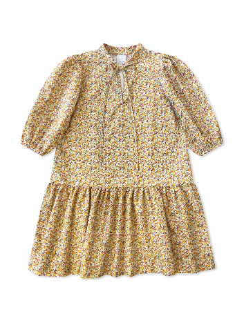 Autumn Blooming Sophia Dress